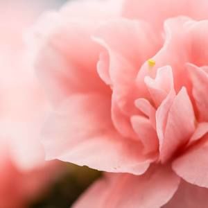 Meet your Posher, Lynne